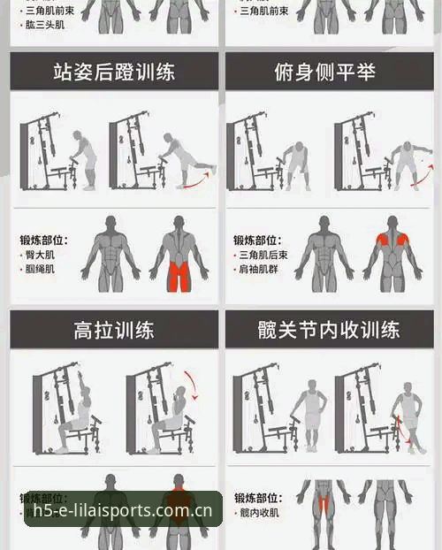 利来体育综合登录功能详解：一份避开常见操作的实用指南